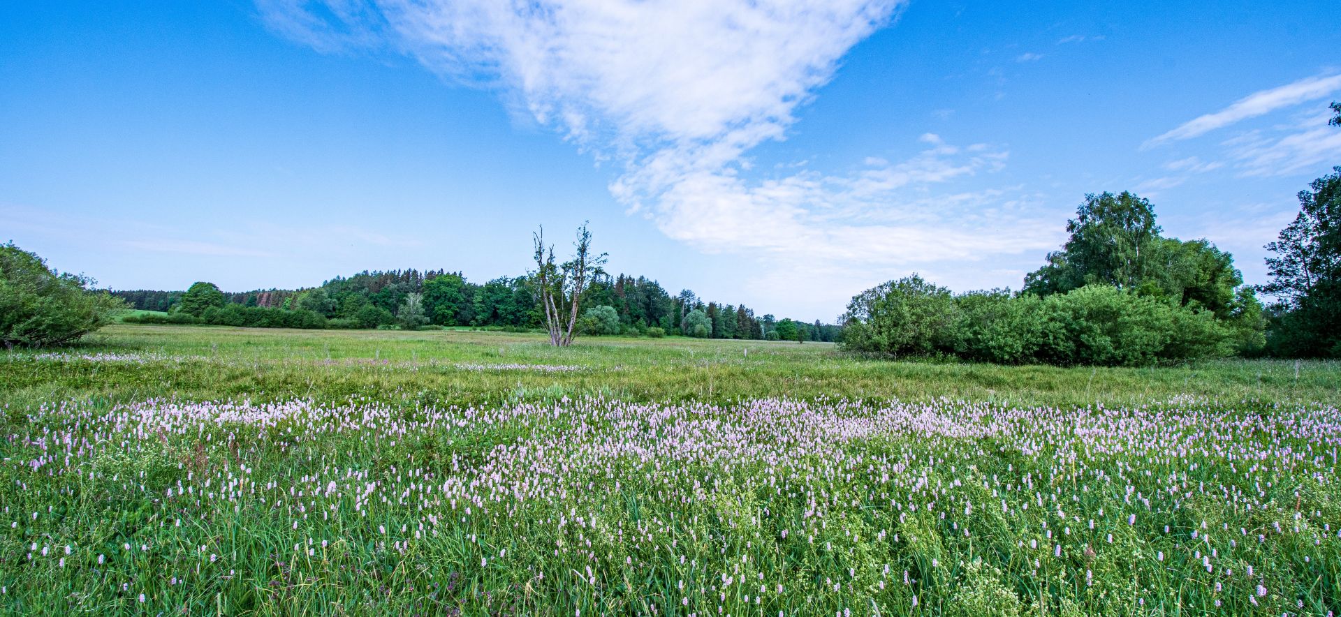 Aulandschaft Ottobeuren