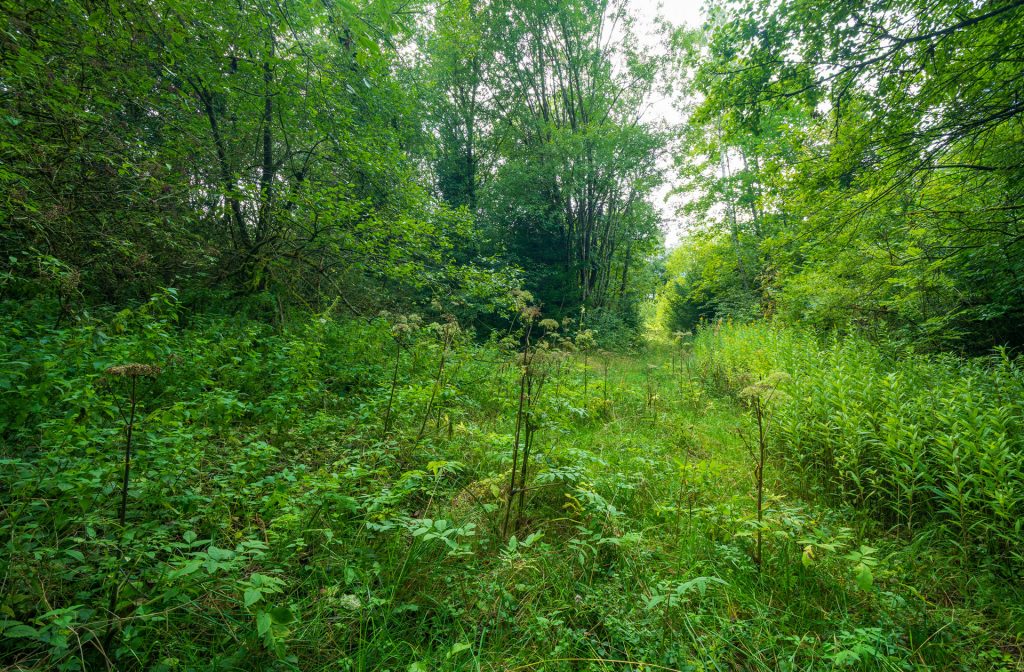 kiesgrube obergünzburg